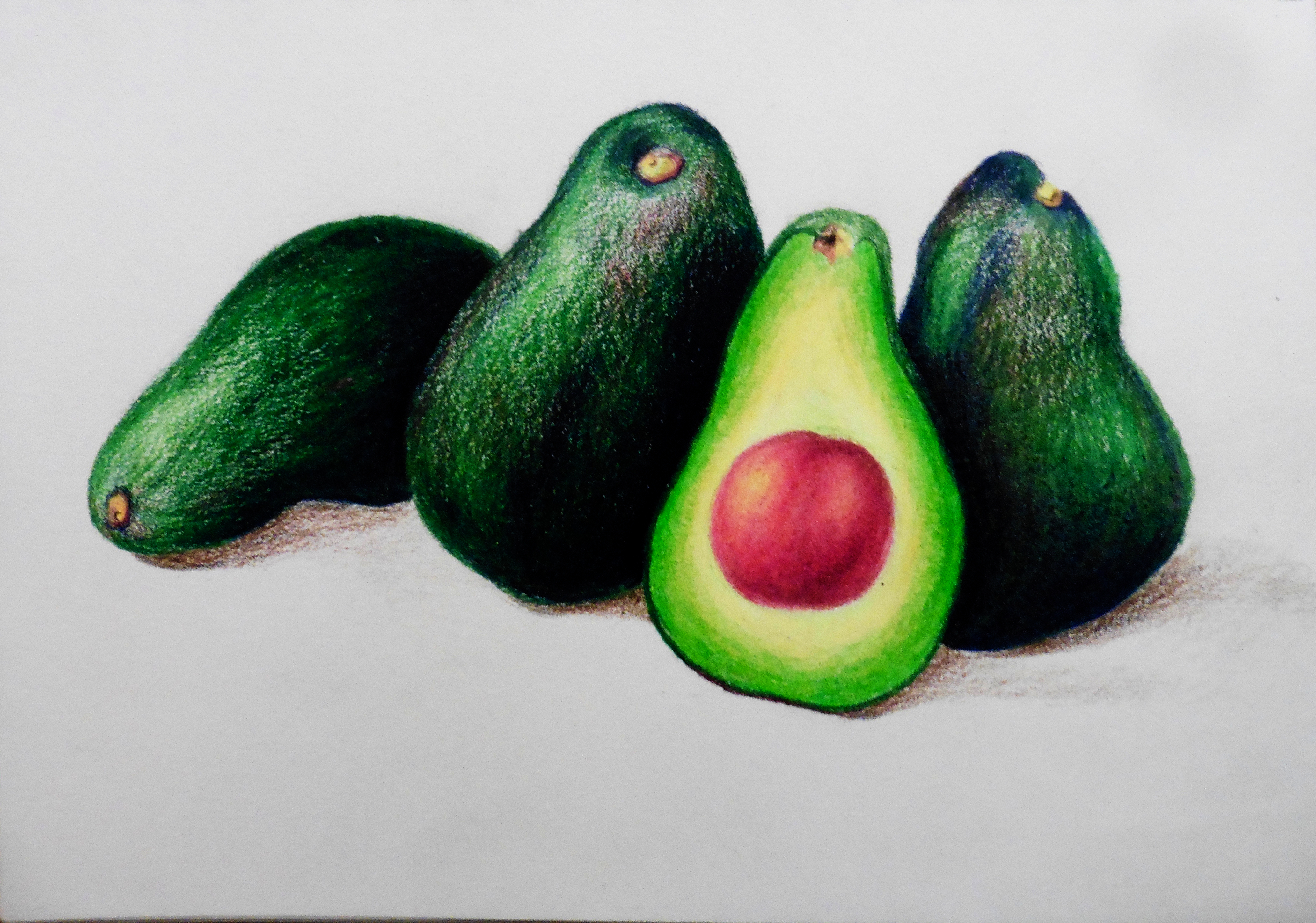 colored pencil drawing of avocados, one is sliced open with the pit showing