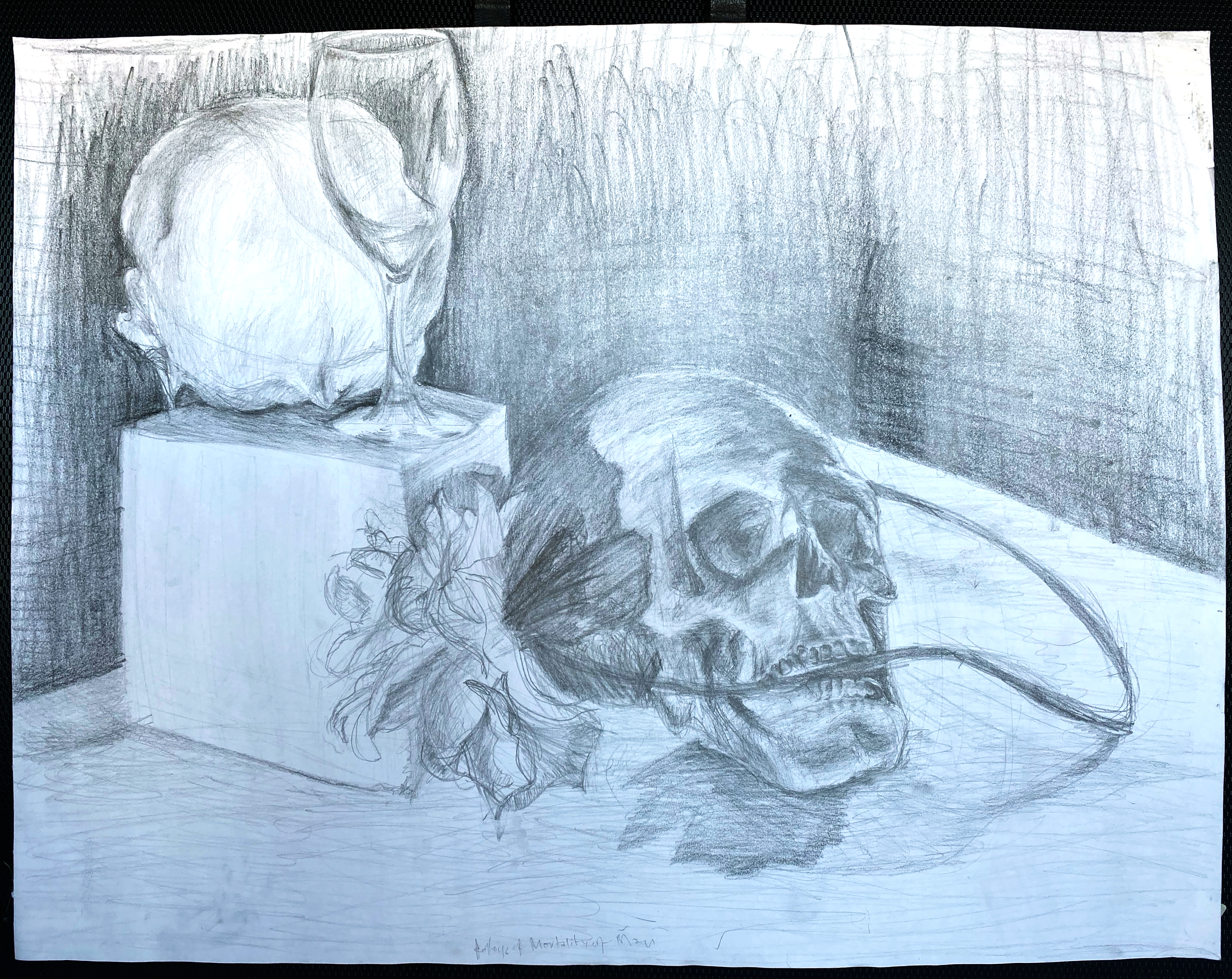 pencil drawing of a still life with flowers, skulls and a wine glass